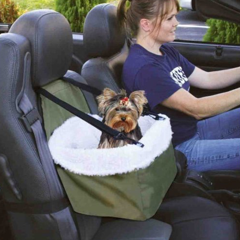 Fotelik samochodowy dla psa